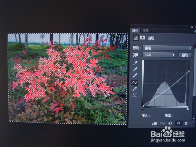 如何使图片的红色更艳丽