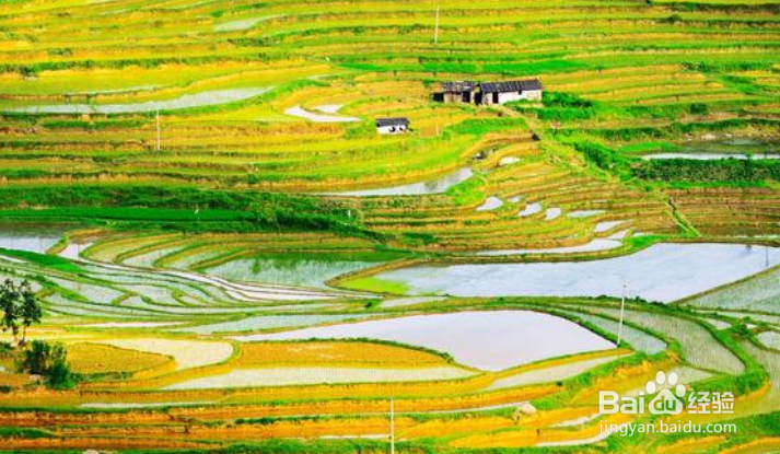 拍摄后所有的照片都需要后期吗？