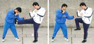 怎样掌握格斗技术基本腿法