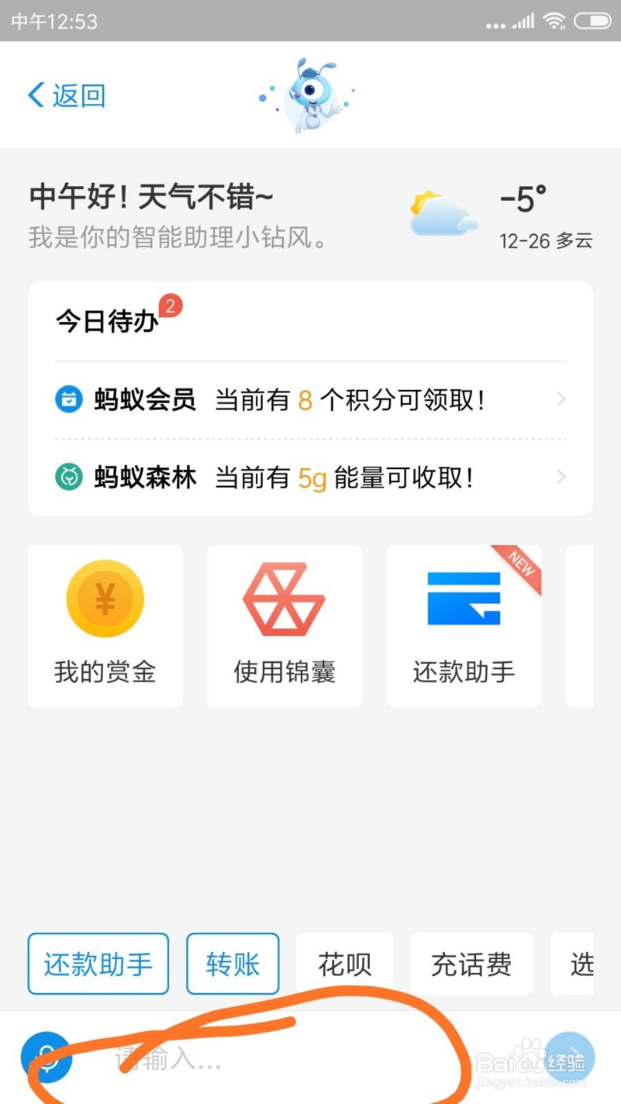 支付宝中的智能助理在哪