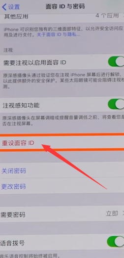 iPhone X安全和隐私在哪里