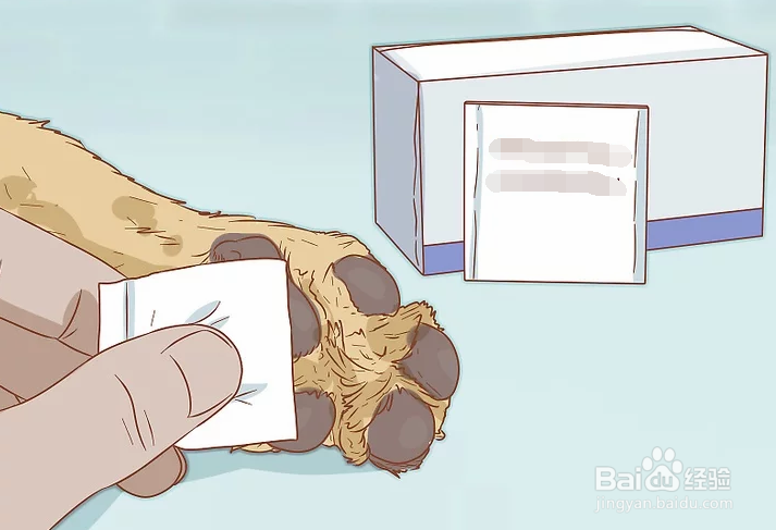 如何治疗中暑的爱犬