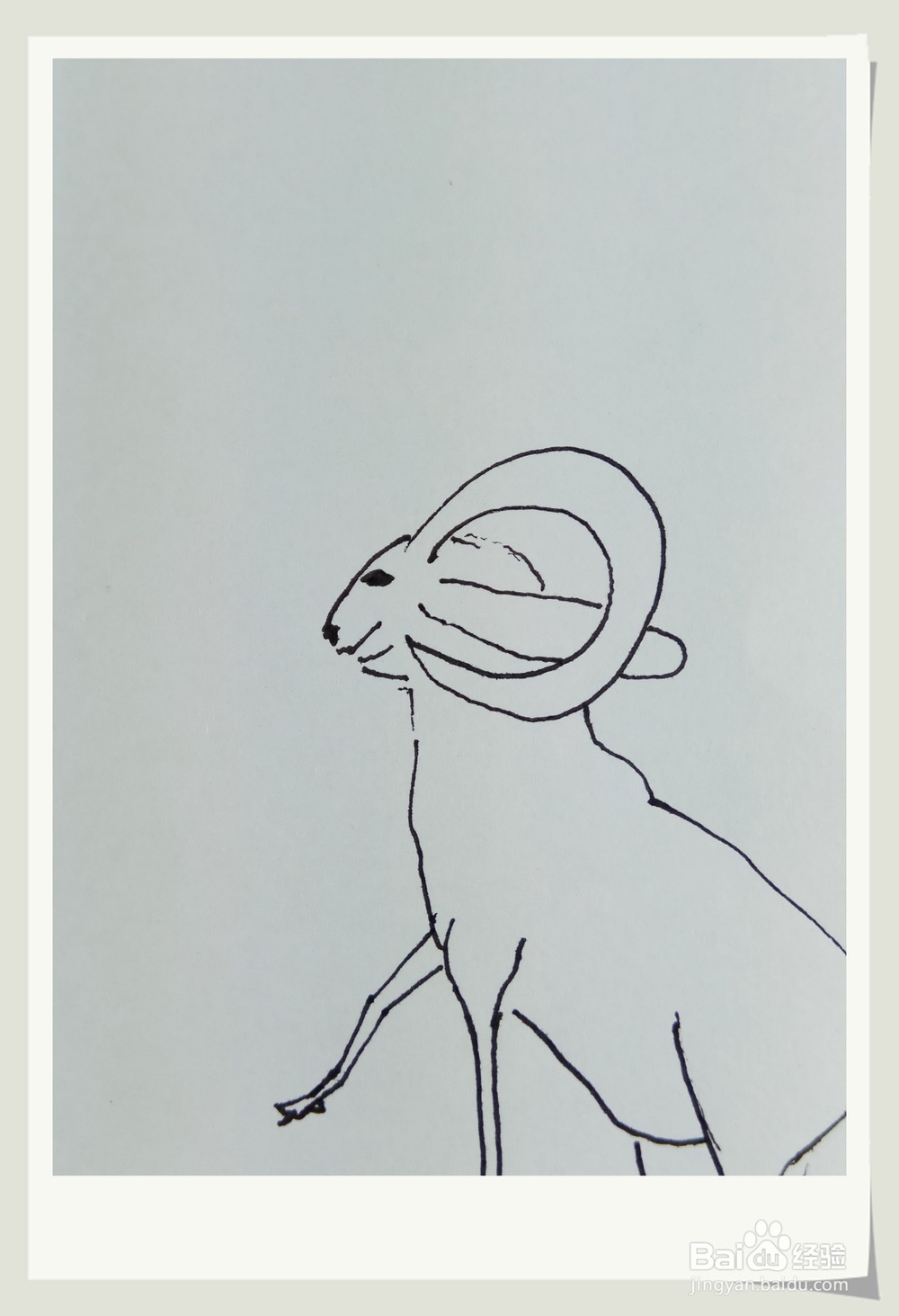 怎样画钢笔画“老羊”？