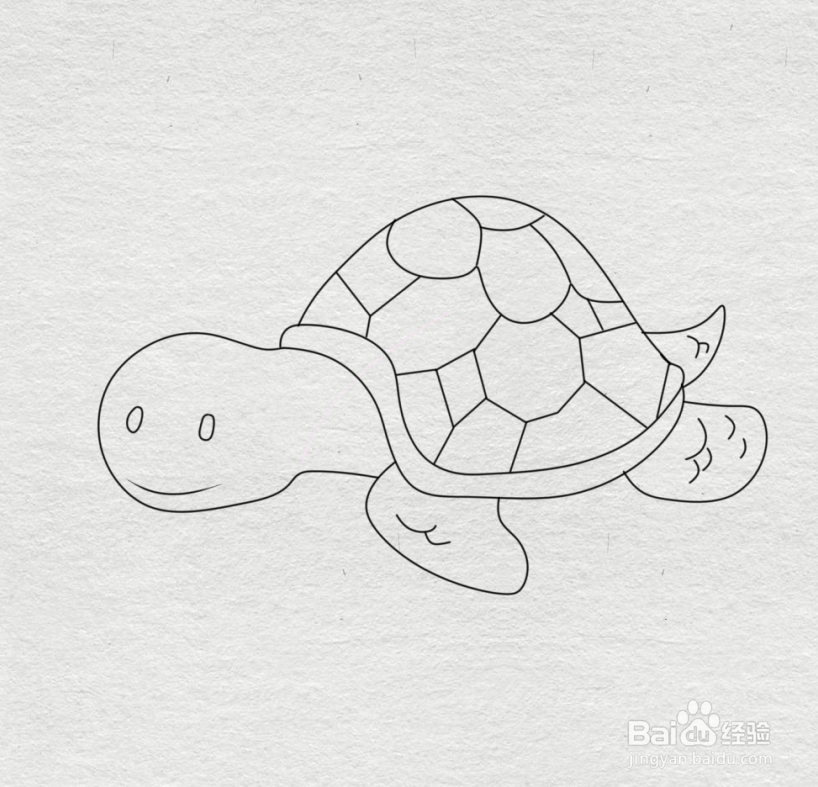假海龟简笔画图片