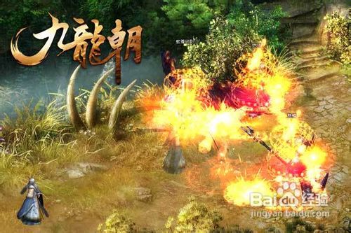 《九龙朝》坐骑骑术升级秘方