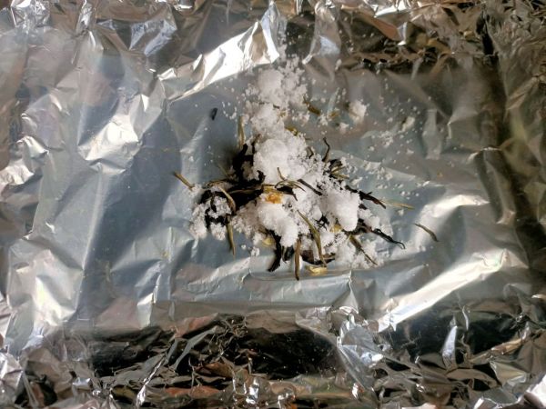 自制哈尔滨红肠