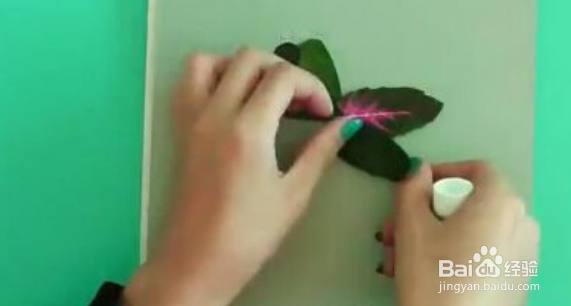 用枫叶做手工贴画