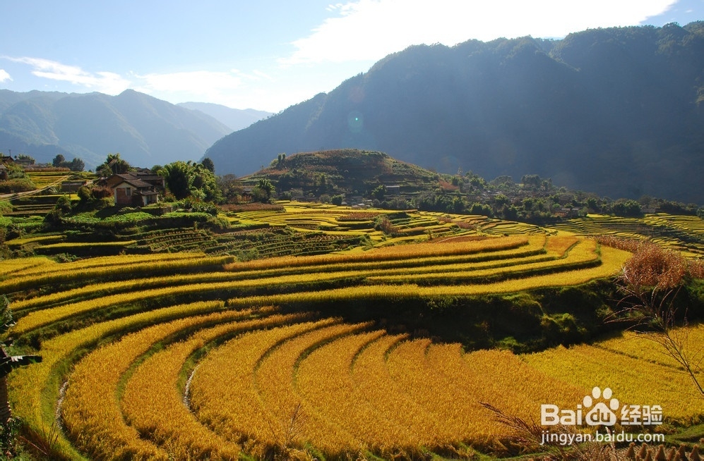 过田园式生活攻略