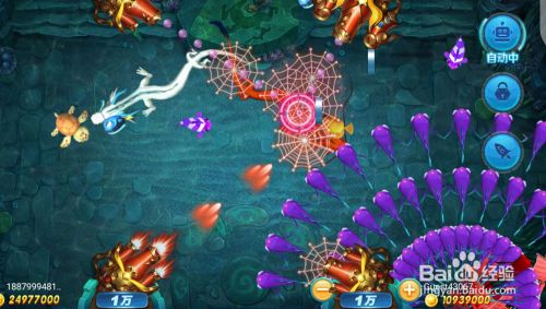 星力手机捕鱼游戏辅助基础知识分享