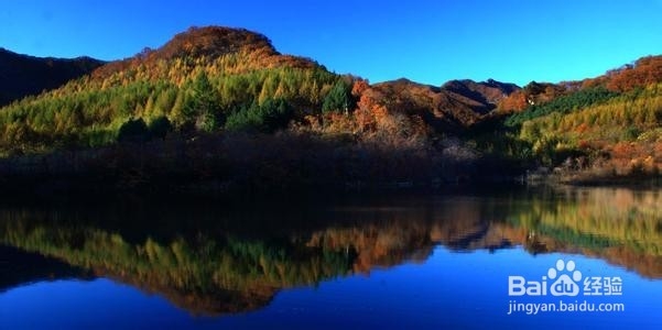 如何起名：[4]寓情于景法