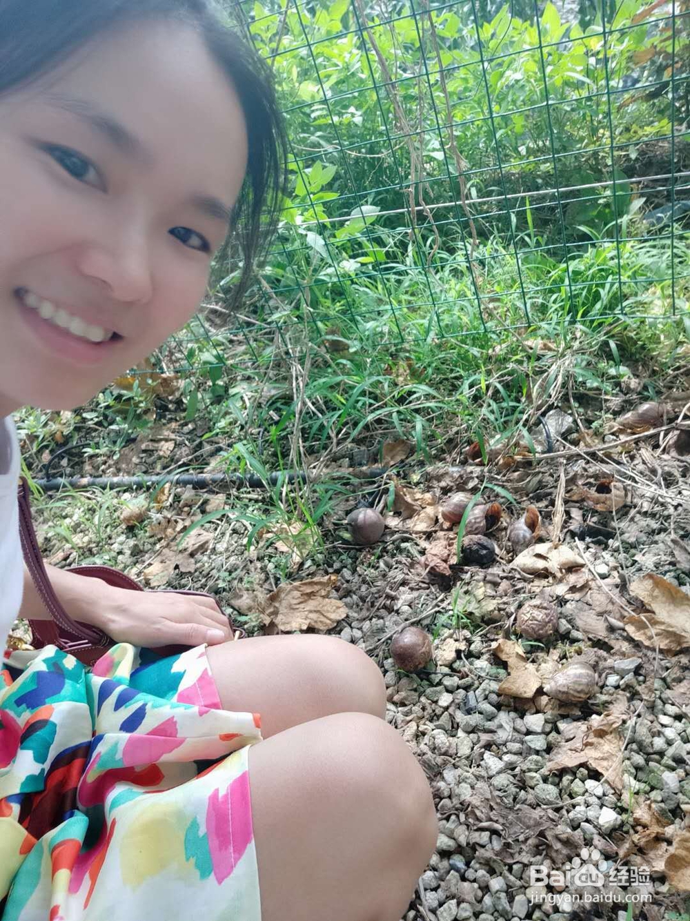 光明稻田农场一日游攻略