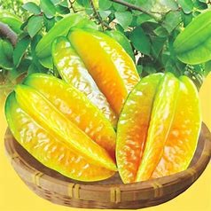 杨桃怎么保存可以放得更久#校园分享#