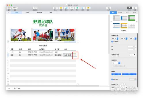 Numbers表格“球队组织”模板中如何插入批注