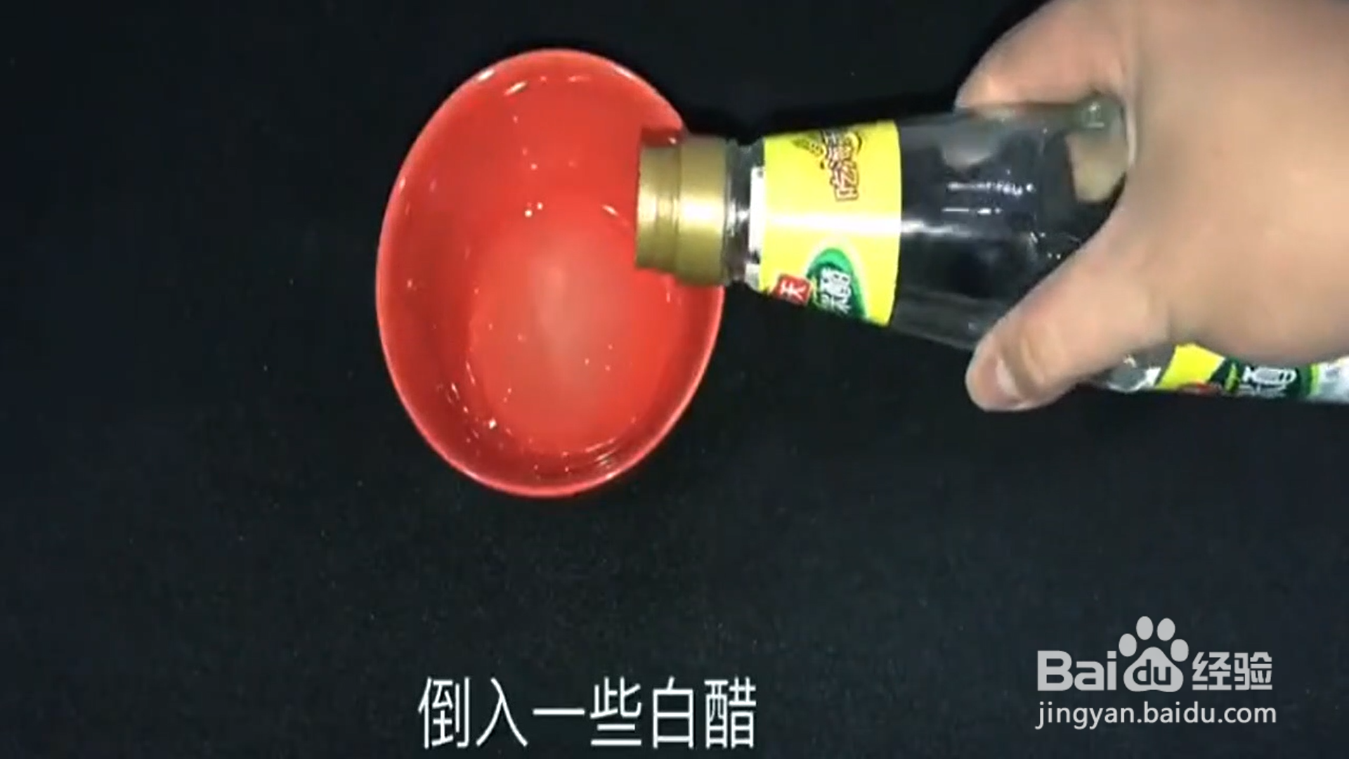 如何快速消灭厨房里的苍蝇