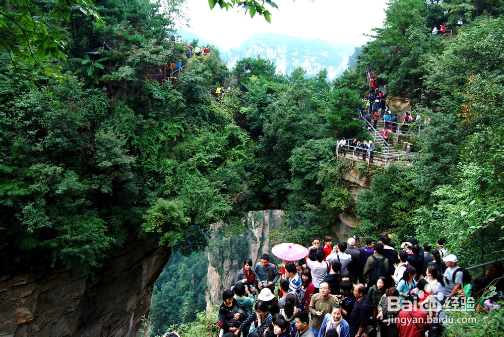 张家界自助游稻草人户外推荐《景点+线路》