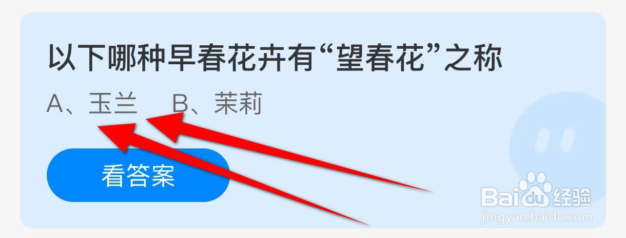 以下哪种早春花卉有“望春花”之称?