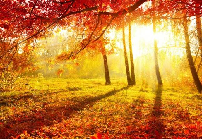 请你写出两句表达思乡之情的古诗句