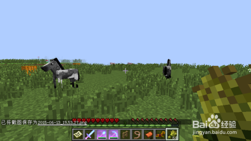 Minecraft 我的世界 如何骑马 驯马 百度经验