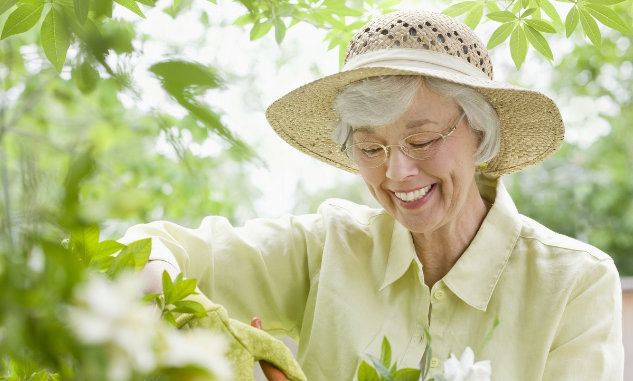 寿命长短取决于什么