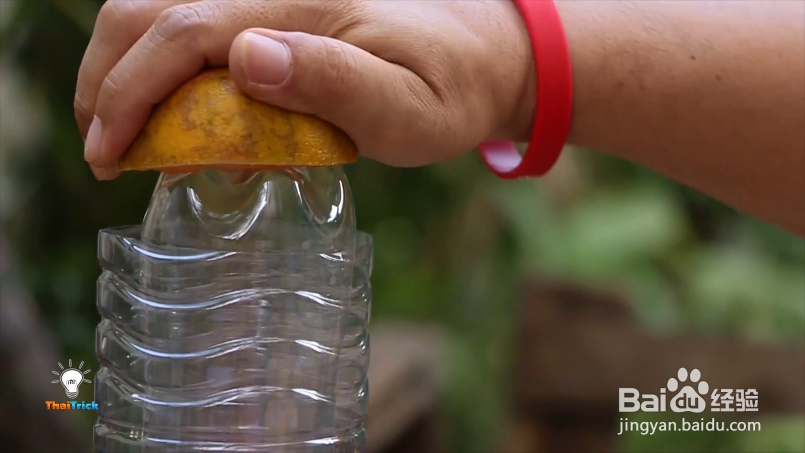 塑料瓶也可以制作简单的榨汁机,方法很简单