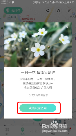 使用识花APP【形色】识别各种植物、花草、果蔬