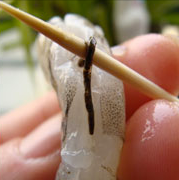 西芹百合酿虾球