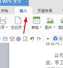 WPS插入二维码