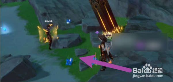 原神万相石在哪里