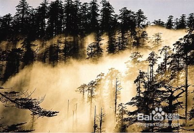 世界上最恐怖的七大旅游地点,你敢来挑战吗?