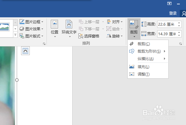 word2016如何将图片裁剪成正方形