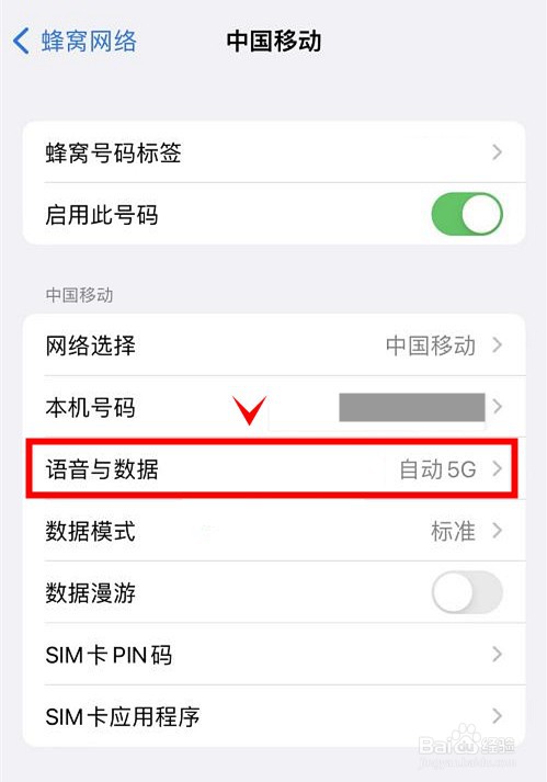 iphone13pro怎样开启5G