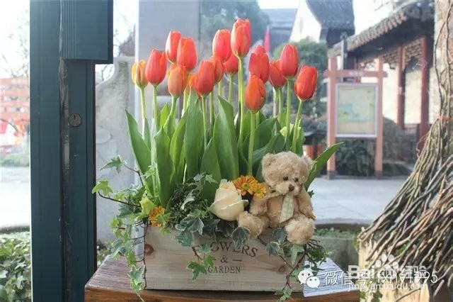 商品花卉选购指南——作用篇