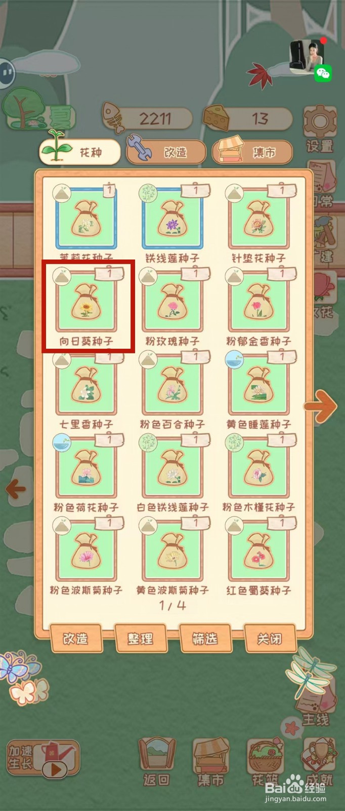 花店物语怎样播种向日葵种子