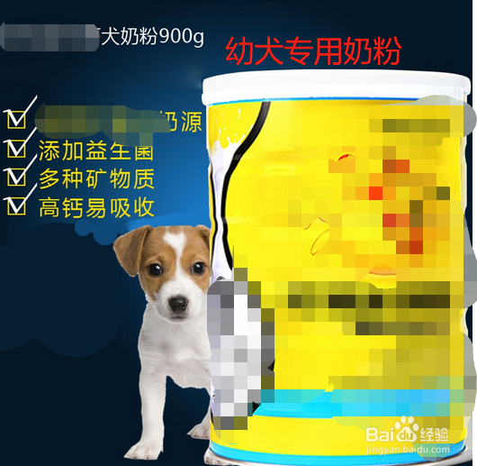 狗狗吃什么最有营养