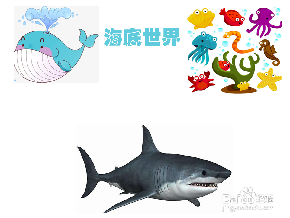 海底世界手抄报简单又漂亮