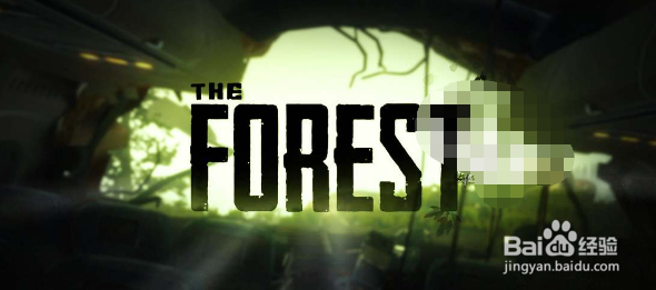 森林之子steam发售时间价格一览