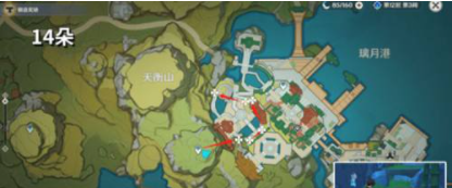 原神霓裳花哪里有