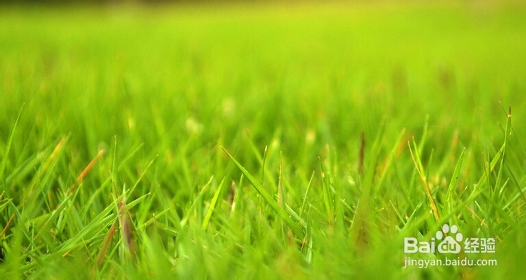 第一次的感觉你记得之开始重视身体。