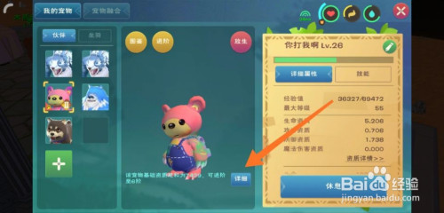 创造与魔法粉抱抱熊6阶资质需要多少