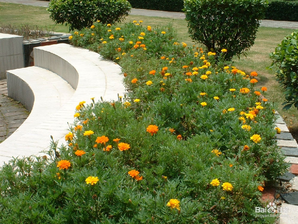 支气管炎的症状有哪几种类型?