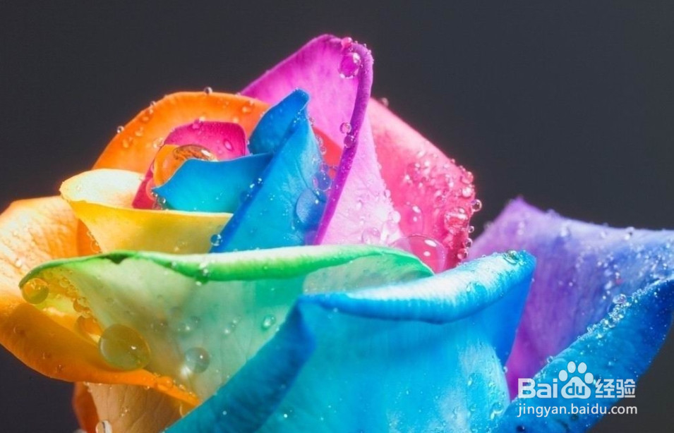 七彩颜色教你调节情绪的方法