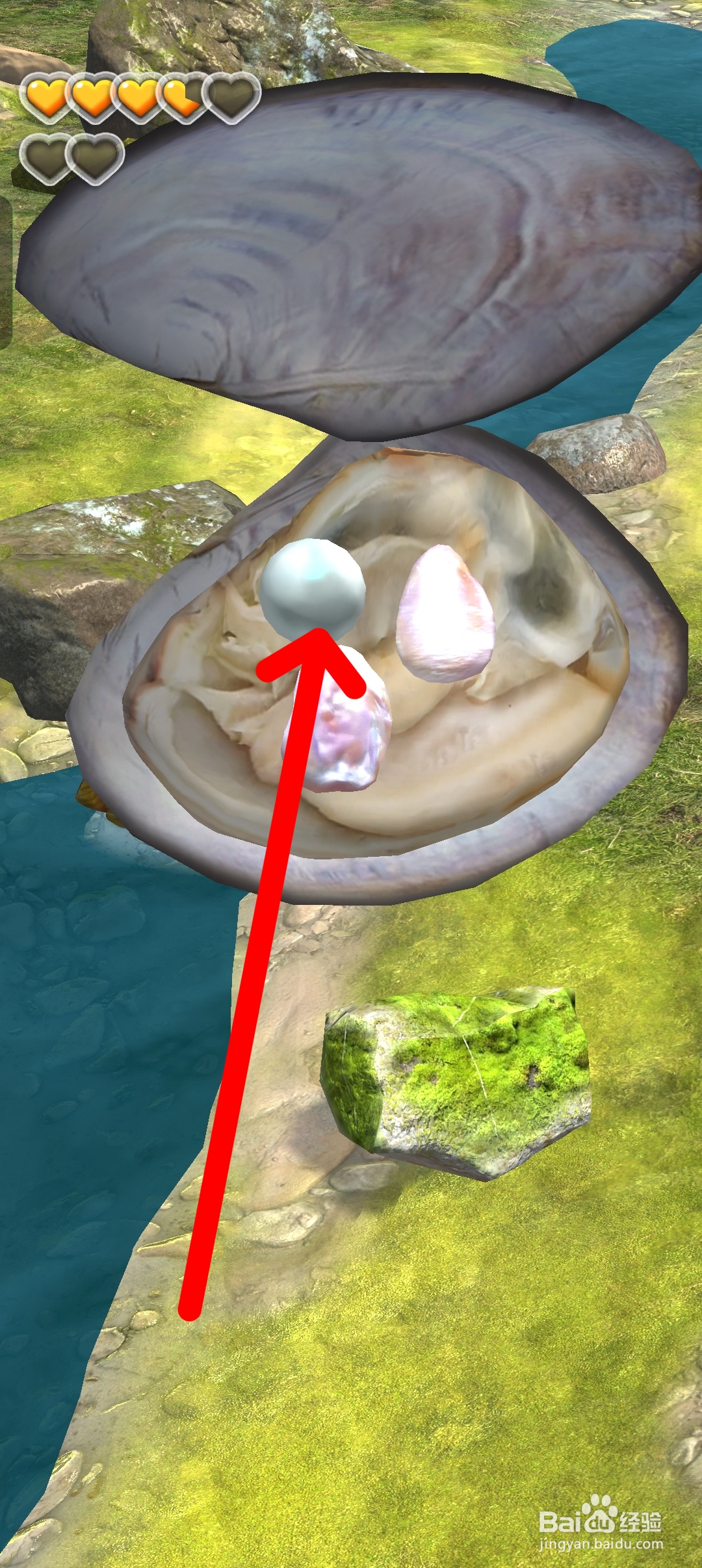 夺笋高手如何获得白珍珠