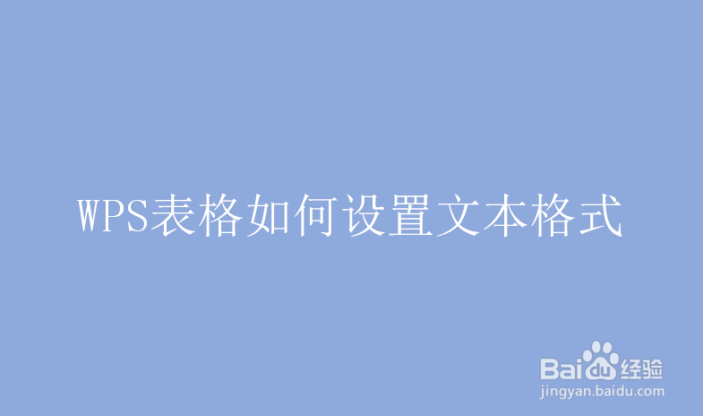 WPS表格如何设置文本格式
