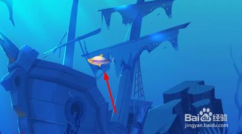 qq池塘怎么养鱼？