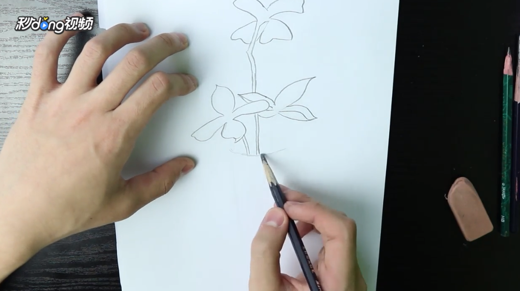 素描四叶草怎么画