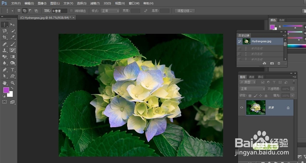 PS‘矩形选框工具’和‘编辑->填充操作’