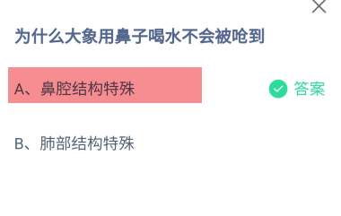 蚂蚁庄园答案为什么大象用鼻子喝水不会被呛到