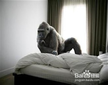 做一个快乐的哲学家或者思考的猪