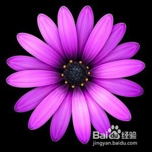 mac下，有哪些python开发工具可用