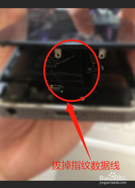 iphone摄像头进灰